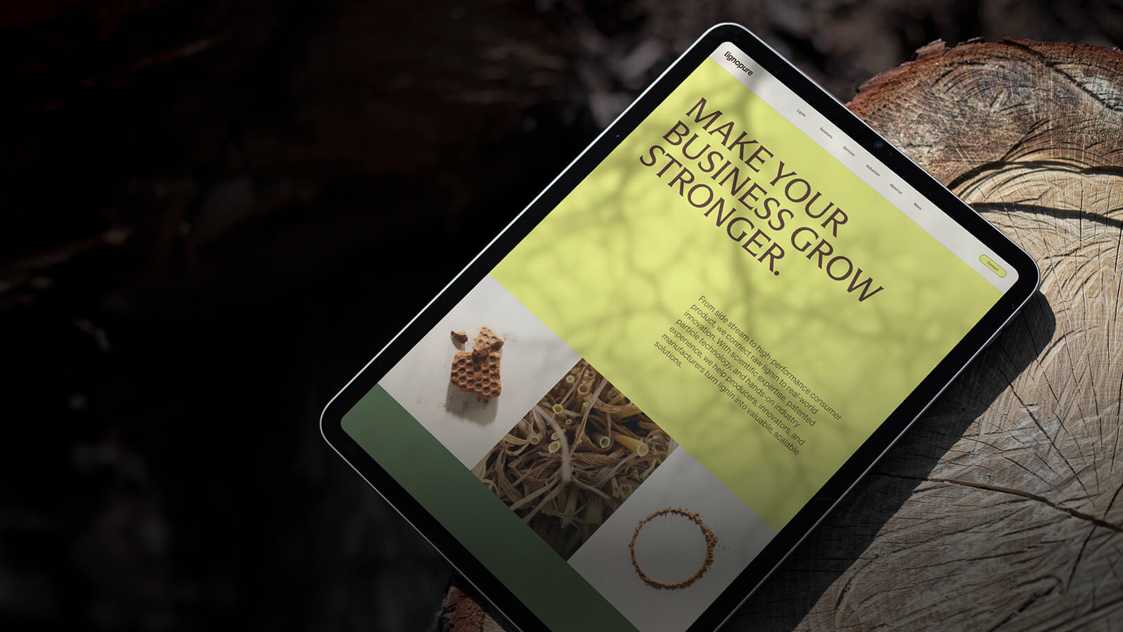 Scaling up a brand of tomorrow.